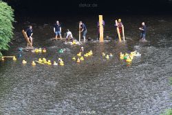 wuppertal-e400-islandufer-entenrennen1-043