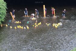 wuppertal-e400-islandufer-entenrennen1-045