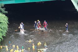 wuppertal-e400-islandufer-entenrennen1-052