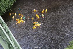 wuppertal-e400-islandufer-entenrennen1-054