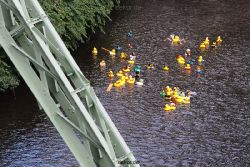 wuppertal-e400-islandufer-entenrennen1-056
