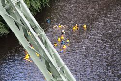 wuppertal-e400-islandufer-entenrennen1-057