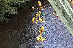 wuppertal-e400-islandufer-entenrennen1-059