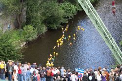 wuppertal-e400-islandufer-entenrennen1-064