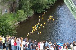 wuppertal-e400-islandufer-entenrennen1-065
