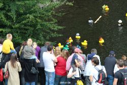 wuppertal-e400-islandufer-entenrennen1-067