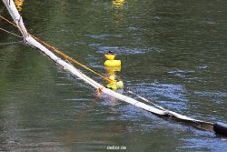 wuppertal-e400-islandufer-entenrennen1-082