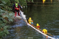 wuppertal-e400-islandufer-entenrennen1-089