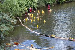 wuppertal-e400-islandufer-entenrennen1-094