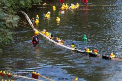 wuppertal-e400-islandufer-entenrennen1-100