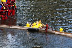 wuppertal-e400-islandufer-entenrennen1-122