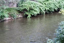 wuppertal-e400-islandufer-entenrennen2-001