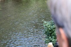 wuppertal-e400-islandufer-entenrennen2-003