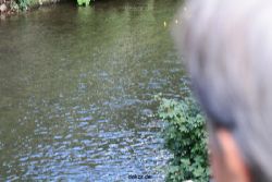 wuppertal-e400-islandufer-entenrennen2-004
