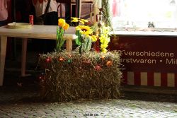 wuppertal-e400-neumarkt-abends-011