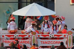 wuppertal-karnevalszug-barmen-2013-050