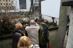 wuppertal-karnevalszug-elberfeld-2012-207