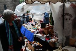 wuppertal-luisenfest-2011-126