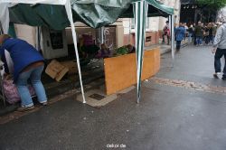 wuppertal-luisenfest-2013-017