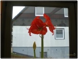 fotografie-2