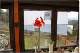 fotografie-3