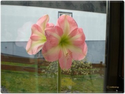 fotografie-7
