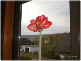 fotografie-8