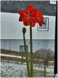 fotografie-12