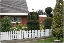 fotografie-2