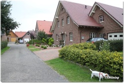 fotografie-3