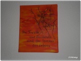 fotografie-19