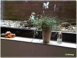 fotografie-23