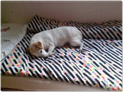 fotografie-24