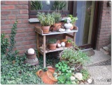 fotografie-30