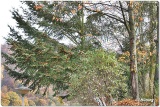 fotografie-9