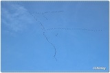 fotografie-19