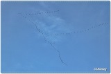 fotografie-20