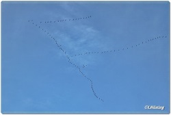 fotografie-20