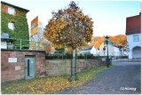 fotografie-26