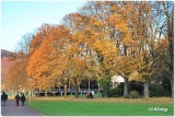 fotografie-32