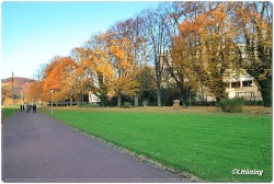 fotografie-33