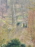 fotografie-19