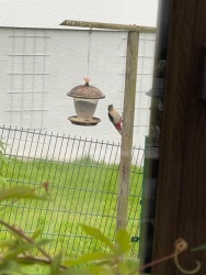 fotografie-1