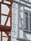 fotografie-6