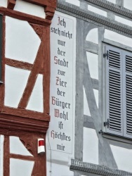 fotografie-6