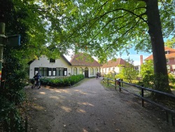 fotografie-6