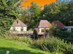 fotografie-10