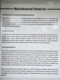 fotografie-1