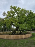 fotografie-4