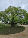 fotografie-12